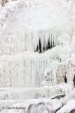Icy Teeth