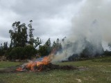 Brandstapel