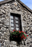 Flowers and stone