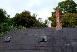 Rooftop