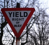 Y for Yield