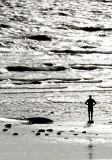 Lone Surfer