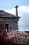 Trinity College