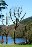 Castlewellan lake