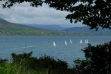 Carlingford Lough