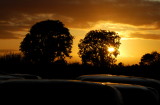 Silage sunset