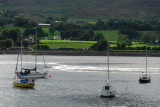 Boats in Carlingford Lough