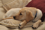 Relaxing after a hard day's work