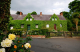 Fairy Glen Cottages