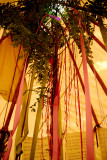 Inside the Tipi