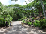 Wiamea Valley Nature Center