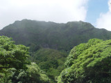 Pali Highway overlook