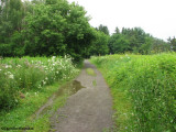 Green heron way, heading east