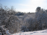 Ravine in winter