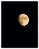 The Moon