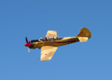 Yak 3