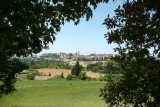 Urbino