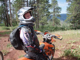 P7312290.jpg