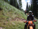 P7312297.jpg