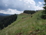 P7312305.jpg
