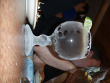PA062467.jpg