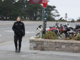 PA102536.jpg