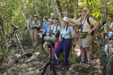 94-DSC00242-Looking for the Bee.jpg
