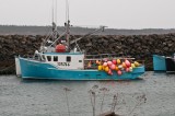 Ready for lobstering DSC_2608.jpg