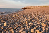 Harborville Beach DSC_5273-1.jpg