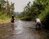 Jungle