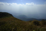 Jungle hilltop 2200 mtr.