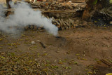 Making charcoal