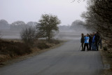Kudde Homo sapiens, Sallandse heuvelrug
