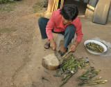 Bamboo