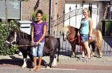 Kleine paardjes