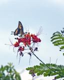 CRW_8580.jpg