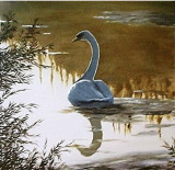Lone Swan painting