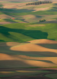 Distant barn