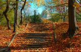 Steps in the Fall