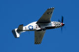 P51D Big Beautiful Doll