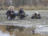 Photographing Dipper