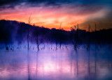 Blue Springs Lake Sunrise
