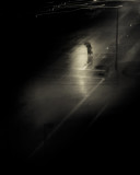 Night Scene with Pedestrian  7360-81.jpg