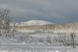 From Senja