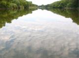 Des Moines River, Bradgate Reflections