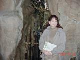 Omaha Zoo, Rain Forest