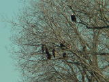 eaglegroup.jpg