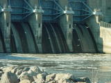 Gulls at Red Rock dam