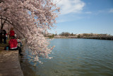 Tidal Basin