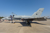 F-18 Hornet